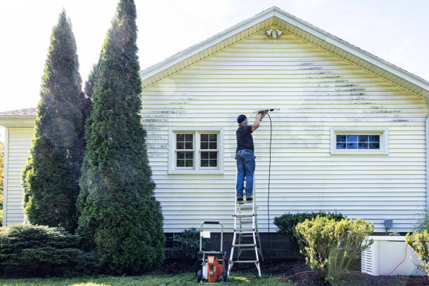 Best Driveway Pressure Washing  in Lindale, TX